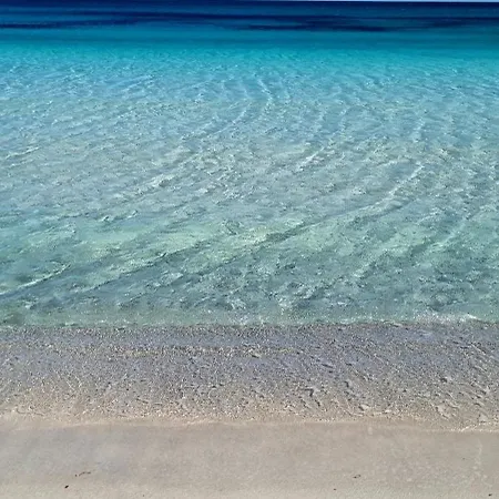 La Contra 포르토 오티올루